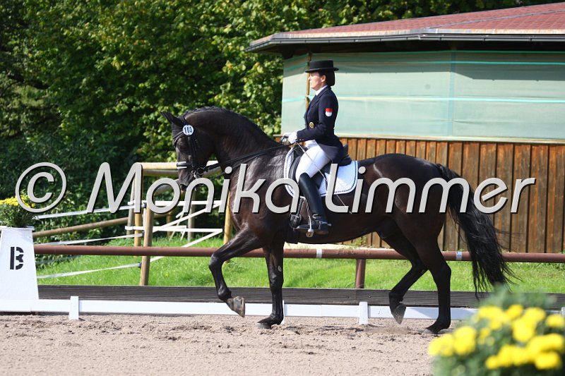 009M3107_Rainsborough_Dressur Sxx.JPG